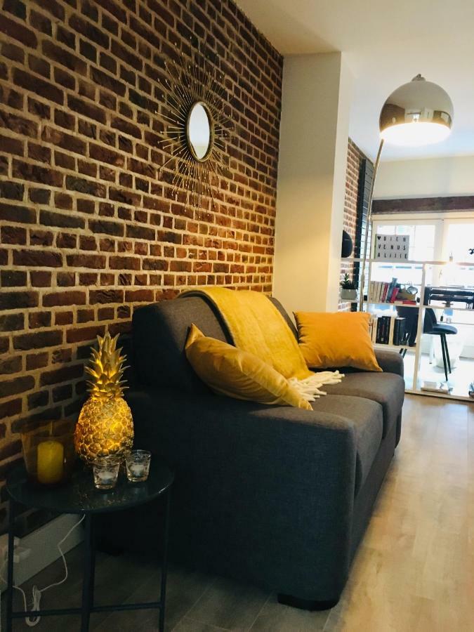 Appartement Heloise, Le Charme Du Vieux-Lille Bagian luar foto